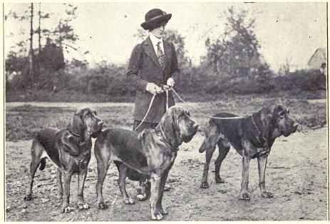 Black and white photo of a lady with 3 Bloodhounds, standing outdoors