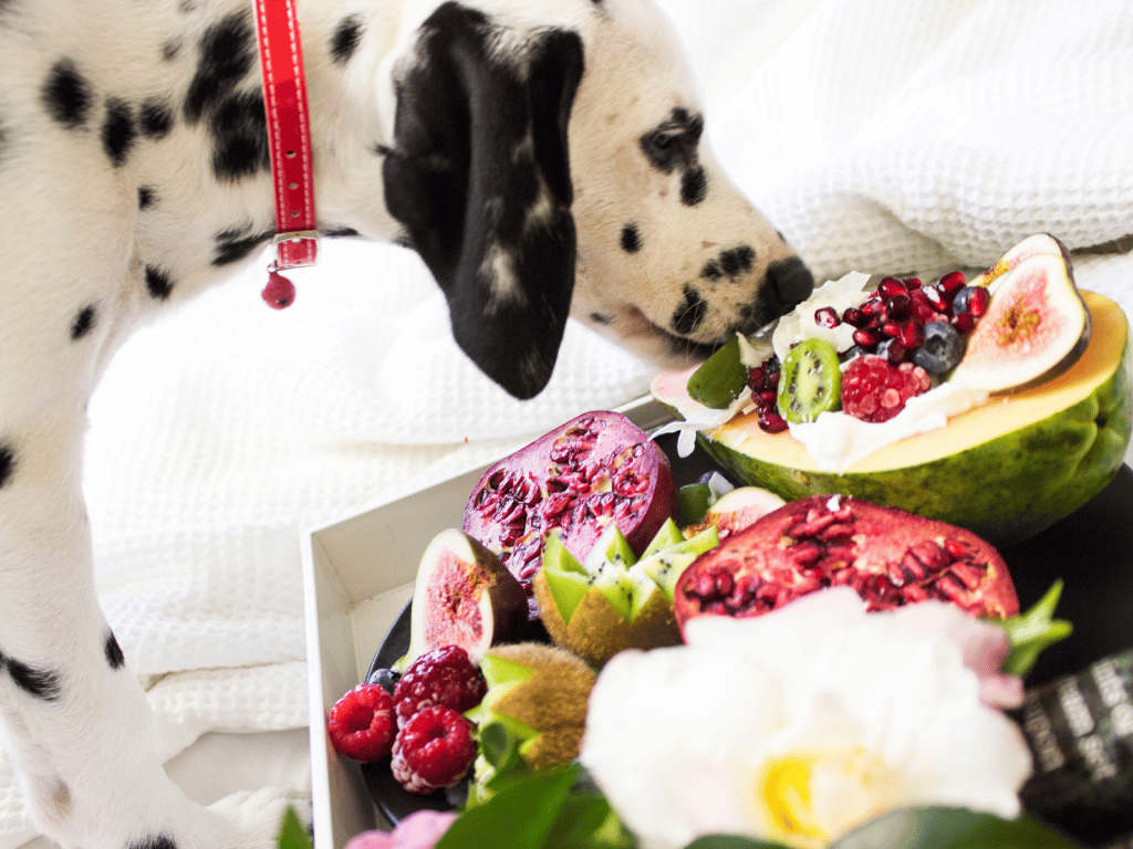 Dog eating kiwi and other fruit