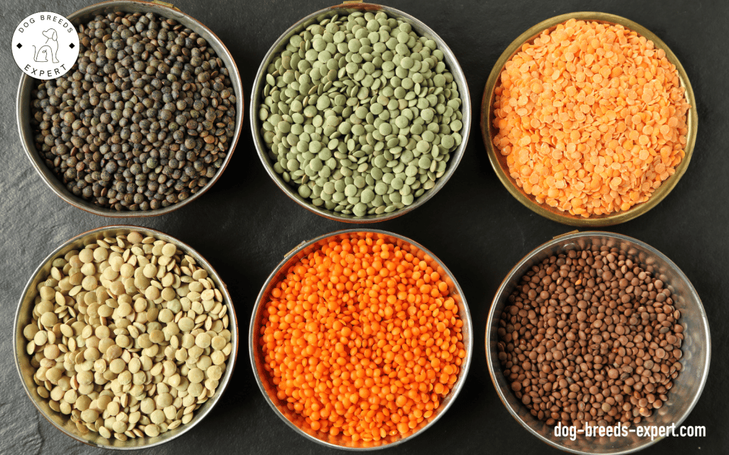 Raw lentils for dogs