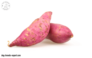 Purple Yams For Dogs