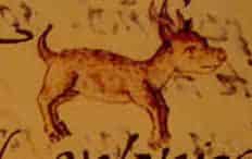 An old stone painting of the Chihuahua dog's ancestors