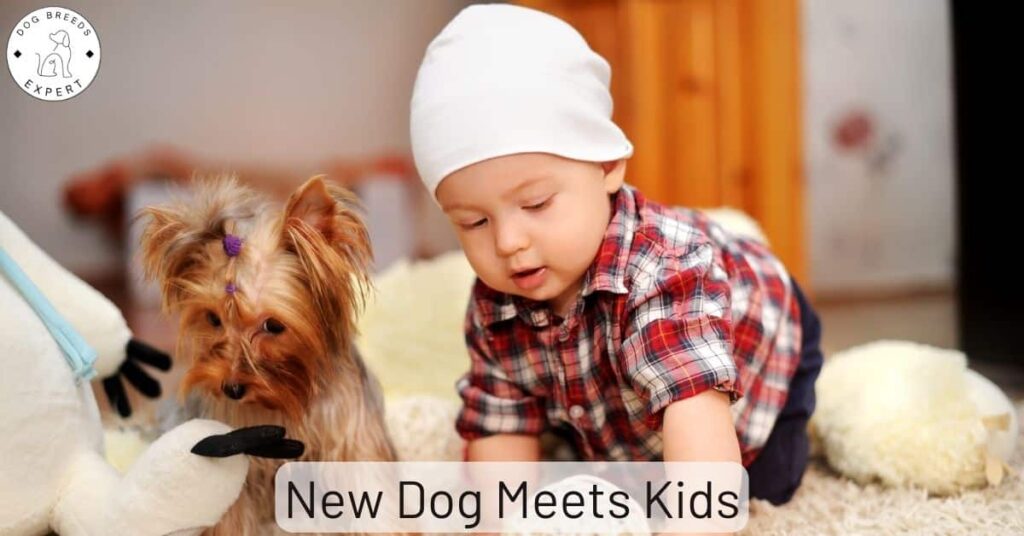 New Dog Meets Kids – Introduce Your New Dog To The Family!