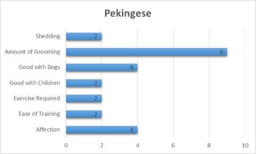 Pekingese characteristics