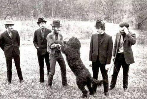 big black dog with 5 men