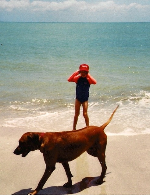 A Rhodesian Ridgeback dog on the beach with a young boy, with blue sea and blue sky in the background