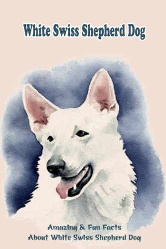 White Swiss Shepherd Dog: Amazing & Fun Facts About White Swiss Shepherd Dog