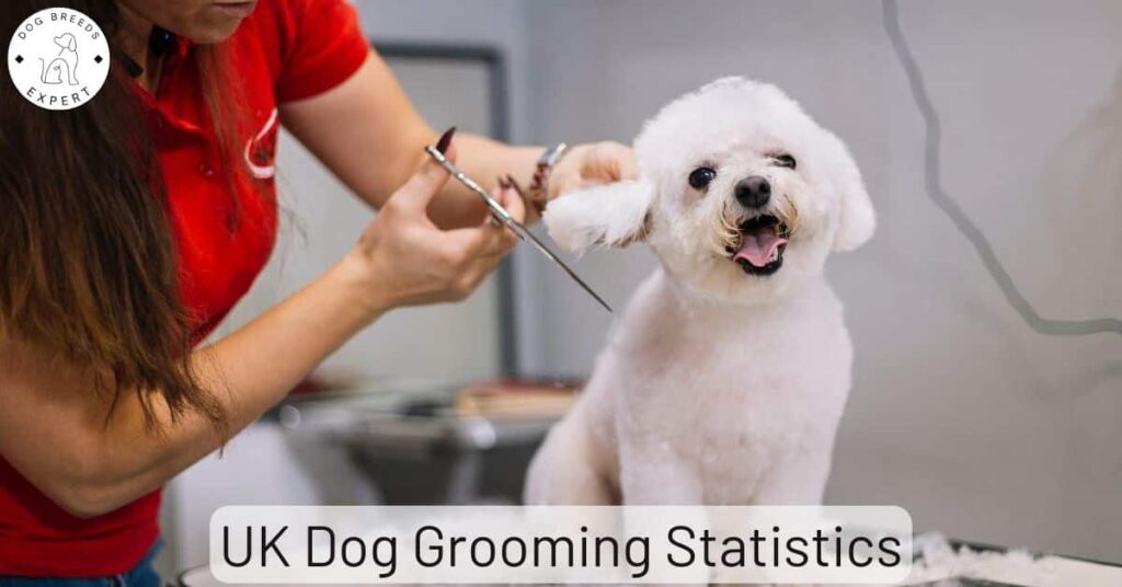 UK Dog Grooming Business Statistics in 2023