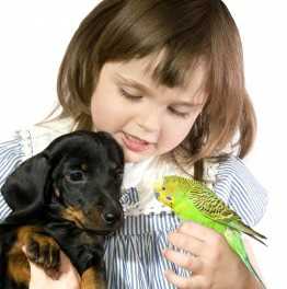 A young girl holding a small dog and a canary